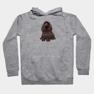 Chocolate Cocker Spaniel - just the dog Hoodie